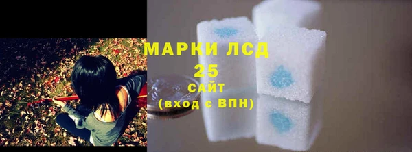 прущие грибы Балабаново