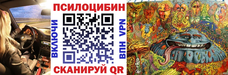 Галлюциногенные грибы Psilocybine cubensis  это как зайти  Долгопрудный 