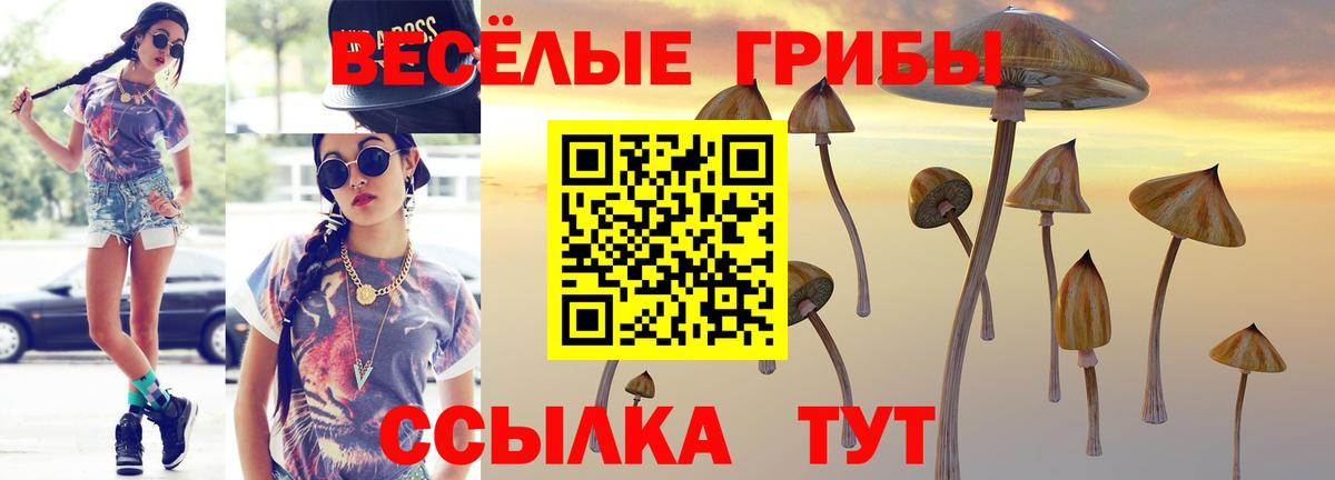Псилоцибиновые грибы ЛСД  Вход с VPN  Долгопрудный 