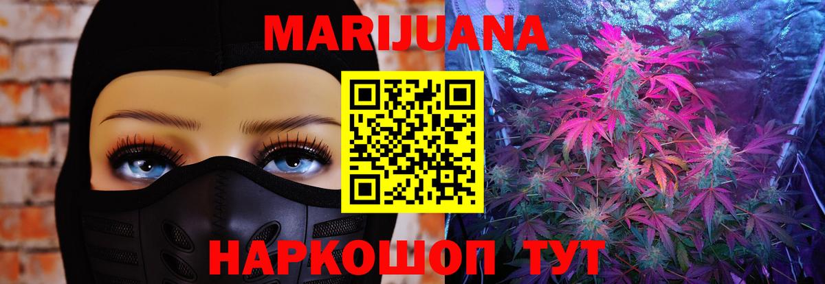 Конопля сатива Долгопрудный